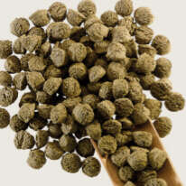 blubble navi derby stehfutter hover